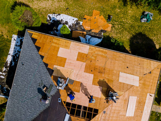 Best Roof Repair Services  in Mcrae Helena, GA