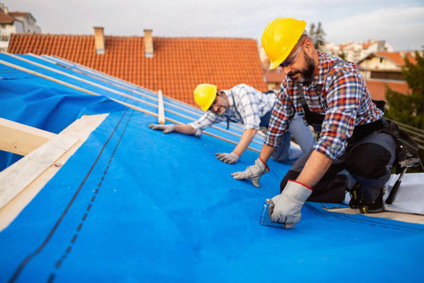 Best Storm Damage Roof Repair  in Mcrae Helena, GA